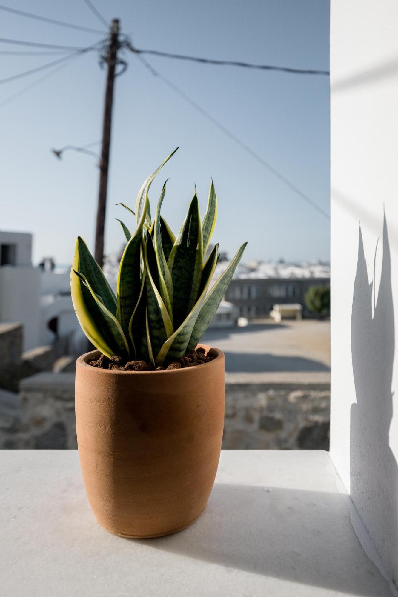 37 2 Heaven Apartment Naxos City Exterior foto
